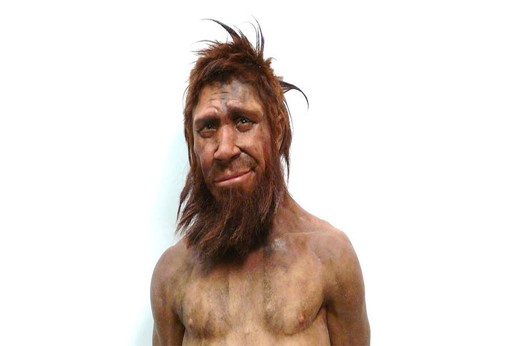 Picture of a neanderthal man